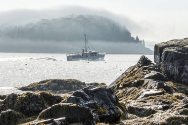 Dışında Bar Harbor Maine ıstakoz tekne başlığı olarak sabah sis 