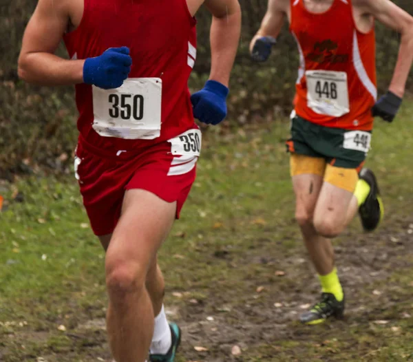 Twee crosscountry lopers rennen op het pad van een NAT vuil — Stockfoto