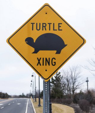 oturum kapısı turtle