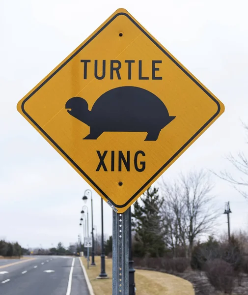 Turtle crossing sign — Stock Photo, Image
