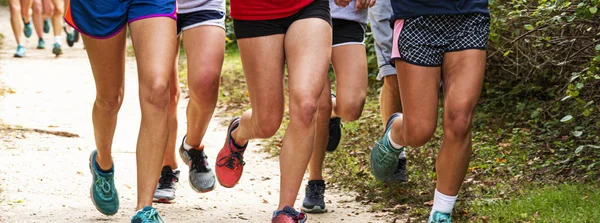 Grupy biegaczy biegających po ścieżce brudu w lesie — Zdjęcie stockowe
