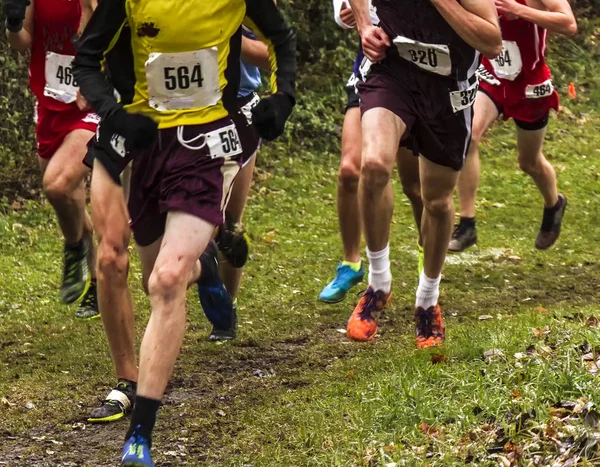 Corridori di fondo su un percorso sterrato bagnato da corsa — Foto Stock