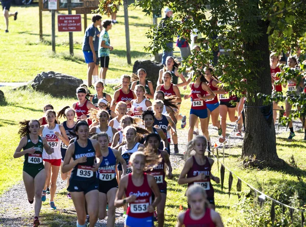 Meisjes hardlopen op de middelbare school cross country race — Stockfoto