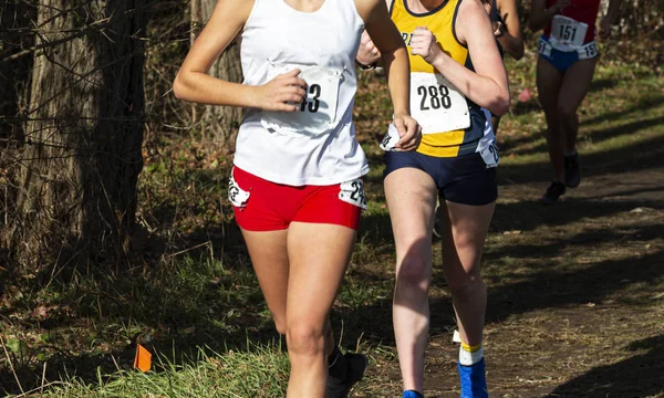 Middelbare school meisjes racen cross country in het bos — Stockfoto