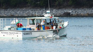 Bar Harbor, Maine, ABD - 28 Temmuz 2017: Balıkçılar ıstakoz tuzaklarını boşalttıktan sonra suya geri koyuyorlar.