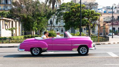 Havana, Küba - 25 Temmuz 2018: 1950 'lerdeki pembe üstü açık Kübalı bir taksi şoförü Havana Küba' da turistleri gezdiriyor.