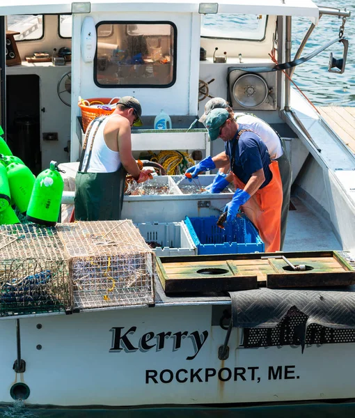 Rockport Maine Agosto 2017 Tres Pescadores Barco Pesca Clasifican Los — Foto de Stock