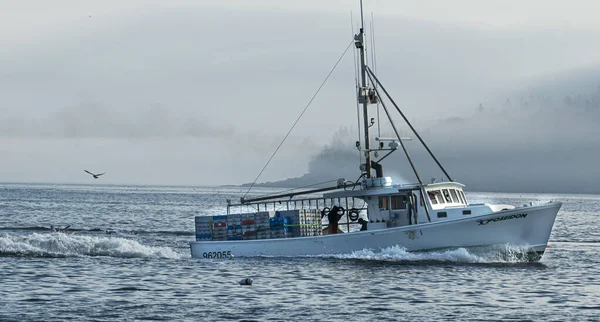 Bar Harbor Maine Usa Juli 2017 Hummerfiskebåt Passerar Piggsvinslandet När — Stockfoto