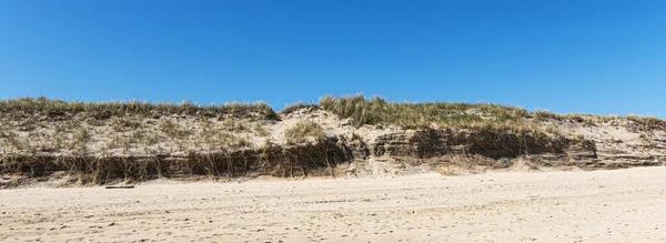 Long Island 'da Montauk New York' ta bir okyanus sahilindeki kumulların yatay görüntüsü..