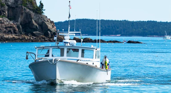 Fiskebåt Återvänder Från Dag Färgning Levande Miane Hummer Till Bar — Stockfoto