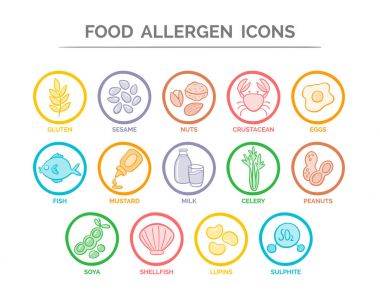 Gıda alerjen Icons Set