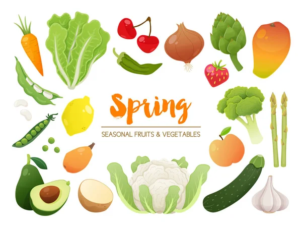 季节性的水果和蔬菜的集合。春天的时间收汇 — 图库矢量图片