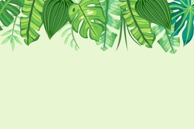 Yeşil tropikal arka plan tasarım.