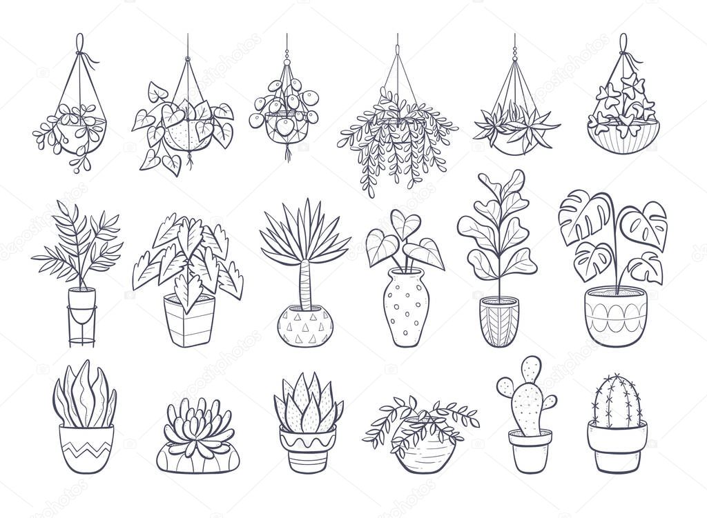 Collection of houseplants isolated on white background. Set of decorative indoor and office plants in pot.Vector doodle plants illustration. Set 1 of 2.