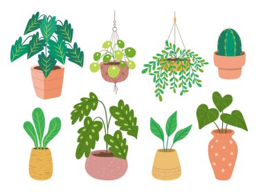 Beyaz arka planda izole edilmiş ev bitkileri koleksiyonu. Sekiz dekoratif iç mekan ve saksıda ofis bitkileri. Düz renkli vektör çizimi. 4 'ün 3' ünü ayarla.