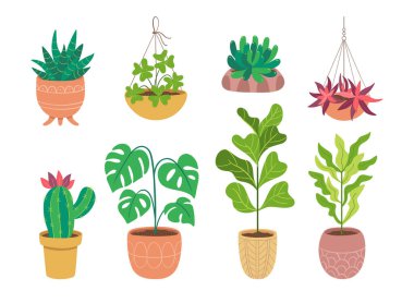 Beyaz arka planda izole edilmiş ev bitkileri koleksiyonu. Sekiz dekoratif iç mekan ve saksıda ofis bitkileri. Düz renkli vektör çizimi. 4 'ün 4' ü.