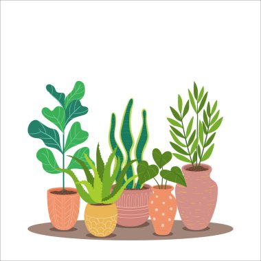 Dekoratif saksı bitkilerinin güzel arka planı. Beyaz arkaplanda vektör çizimi izole edildi. Tasarım elementlerini düzenlemek ve yeniden düzenlemek kolaydır. Kare biçimi.