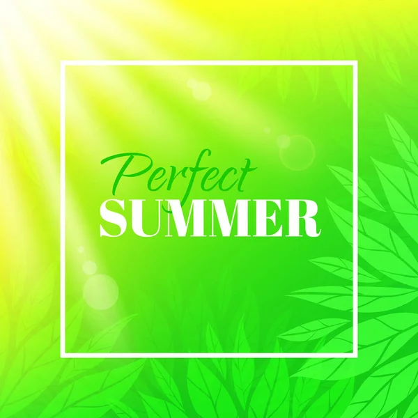 Perfekt sommar. Banderoll med typografisk design. Bakgrund med blad och solen — Stock vektor