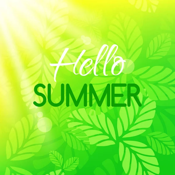 Hola tarjeta de verano. Banner con diseño tipográfico. Fondo brillante con hojas y sol — Vector de stock