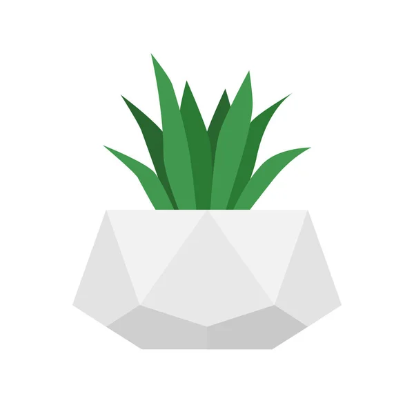 Bloem in trendy geometrische betonnen pot. Vector geïsoleerde sappige plant. Tuinieren — Stockvector