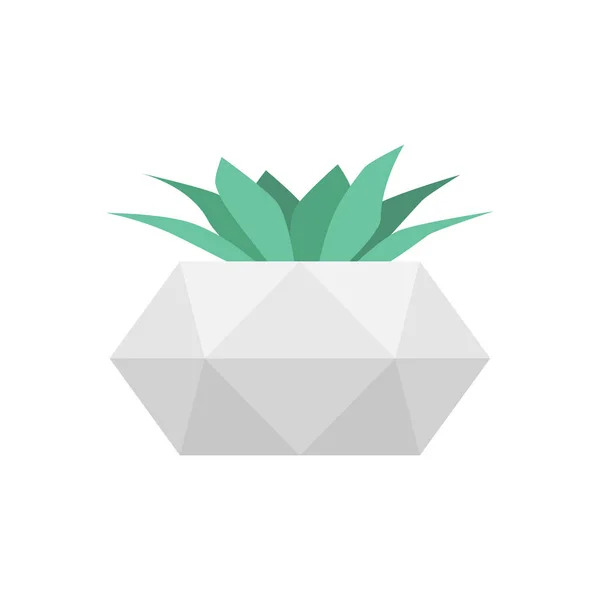 Succulent in betonnen geometrische pot. Vector geïsoleerde trendy bloem — Stockvector