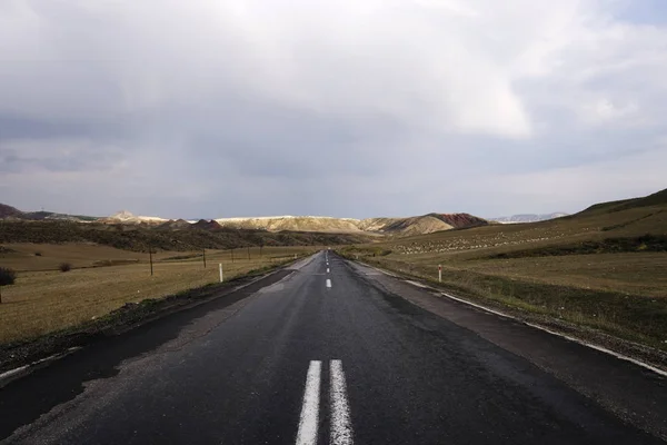 Yol güneş ışığı