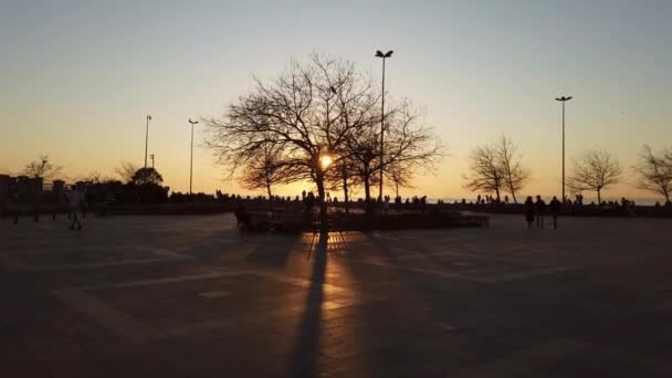 Silhouetten Van Bomen Mensen Straatlantaarns Aan Kust Van Het Kadikoy — Stockvideo