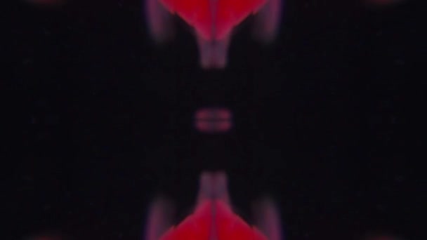 Красное Окрашивание Выглядит Кровь Воде Симметричное Абстрактное Фоновое Видео Замедленной — стоковое видео