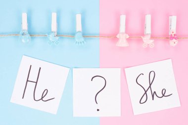 Cinsiyet, parti konseptini ortaya çıkarıyor. Küçük c 'nin resmini kapat