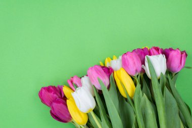 Tepede güzel lalelerin fotoğrafı var. İzole et.