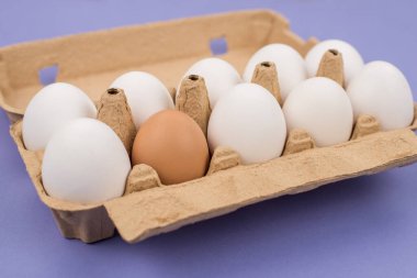 Çeşitlilik konsepti. 10 'un yakın görüntüsü ve kutuda bir kahverengi yumurta izole edilmiş mor menekşe arkaplan