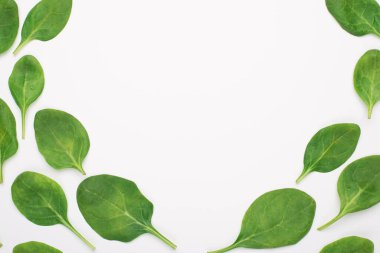 Yukarıdan bakıldığında bebek ıspanağın beyaz arka planda izole edilmiş bir şekilde ortaya yerleştirilmiş fotoğrafı.