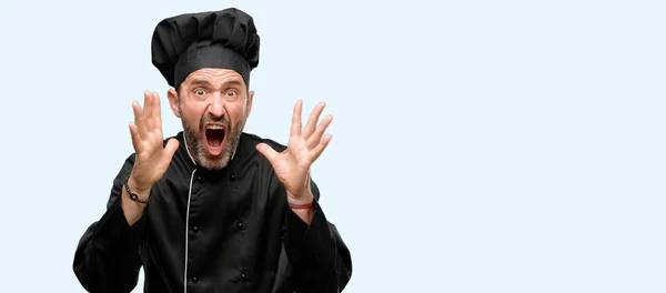高级厨师 戴着厨师帽 压力重重 双手放在头上 惊恐万分 在忧郁的背景下被孤立地呼喊着 — 图库照片