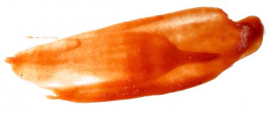 Beyaz arkaplanda yalıtılmış ketçap domates sosu