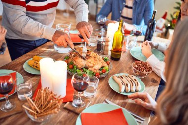 Mutlu ve kendinden emin gülümseyen güzel bir aile toplantısı. Evde Noel 'i kutlamak için fırında hindi pişiriyorum.