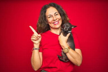 Orta yaşlı bir kadın elinde şirin bir chihuahua köpeğini kırmızı izole arka planda tutarken çok mutlu bir şekilde elini ve parmağını kenarı işaret ediyor.