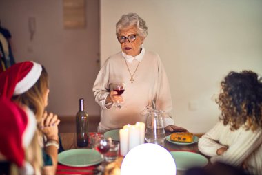 Mutlu ve kendinden emin gülümseyen güzel bir kadın grubu. Her birinin elinde şarap bardağıyla evde Noel 'i kutlayan konuşmaları var.