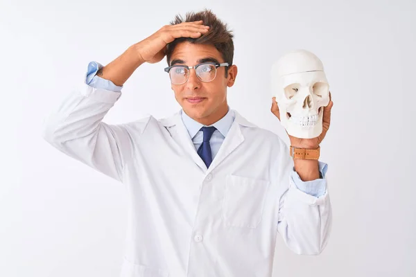 Gözlüklü Yakışıklı Bir Doktor Beyaz Arka Plan Üzerinde Kafatası Tutuyor — Stok fotoğraf