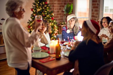 Mutlu ve kendinden emin gülümseyen güzel bir kadın grubu. Her birinin elinde şarap bardağıyla evde Noel 'i kutlayan konuşmaları var.