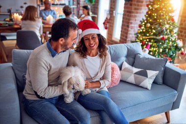 Aile ve arkadaşlar Noel arifesini evde geleneksel yemek ve dekorasyonla kutluyorlar. Çiftler kanepede köpeklerle sohbet ediyorlar.