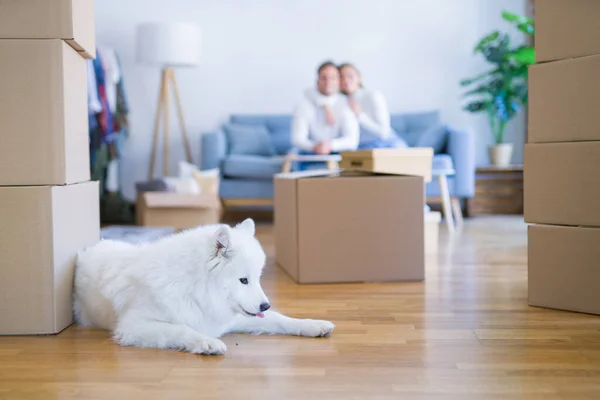 Joven Hermosa Pareja Con Perro Sentado Sofá Nuevo Hogar Alrededor — Foto de Stock