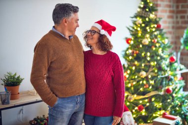 Mutlu ve kendinden emin gülümseyen orta yaşlı güzel bir çift. Yüzünde tebessümle evde Noel ağacının etrafında dikilip sarılıyorum.