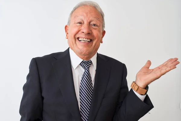 Senior Grey Haired Businessman Wearing Suit Standing Isolated White Background — ストック写真