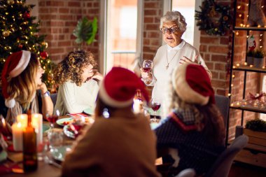 Mutlu ve kendinden emin gülümseyen güzel bir kadın grubu. Her birinin elinde şarap bardağıyla evde Noel 'i kutlayan konuşmaları var.