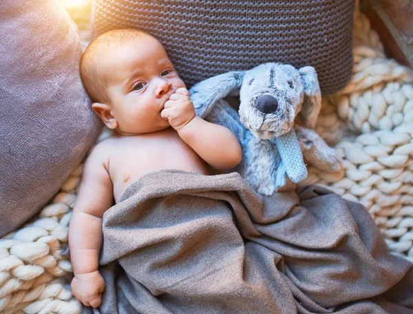Adorable baby lying down on the sofa over blanket at home. Newborn relaxing and resting comfortable with doll