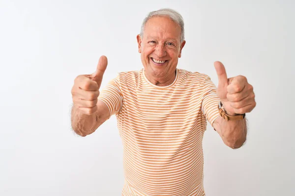 Senior Gråhårig Man Bär Randig Shirt Stående Över Isolerad Vit — Stockfoto