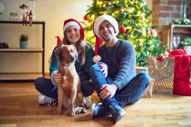 Mutlu ve kendinden emin gülümseyen genç bir çift. Yerde oturmuş Noel Baba şapkası takıyor Noel ağacının etrafında köpeğe sarılıyor.