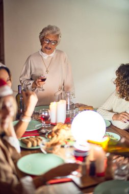 Mutlu ve kendinden emin gülümseyen güzel bir kadın grubu. Her birinin elinde şarap bardağıyla evde Noel 'i kutlayan konuşmaları var.