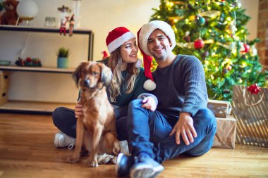 Mutlu ve kendinden emin gülümseyen genç bir çift. Yerde oturmuş Noel Baba şapkası takıyor Noel ağacının etrafında köpeğe sarılıyor.