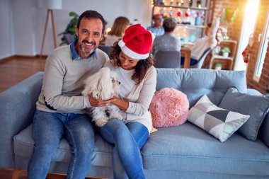 Aile ve arkadaşlar Noel arifesini evde geleneksel yemek ve dekorasyonla kutluyorlar. Çiftler kanepede köpeklerle sohbet ediyorlar.